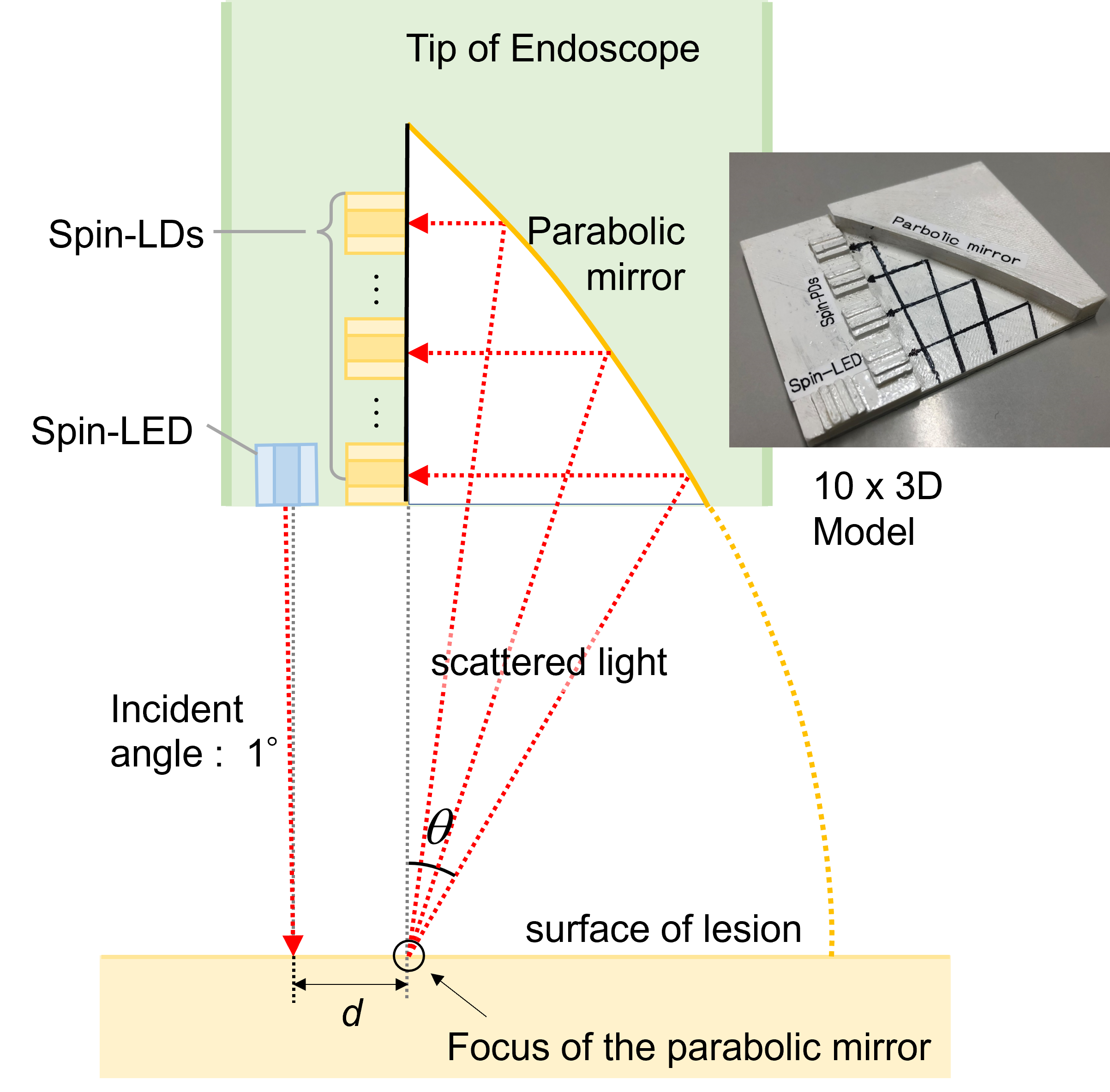 Nishizawa's Research