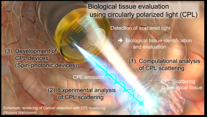 Nishizawa's Research